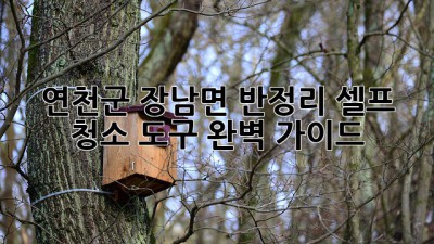 연천군 장남면 반정리 셀프 청소 도구 완벽 가이드
