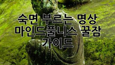 숙면 부르는 명상 & 마인드풀니스 꿀잠 가이드😴
